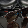 Gafas Carrera + Estuche Billetera